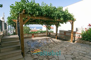 14082019183239_5.jpg